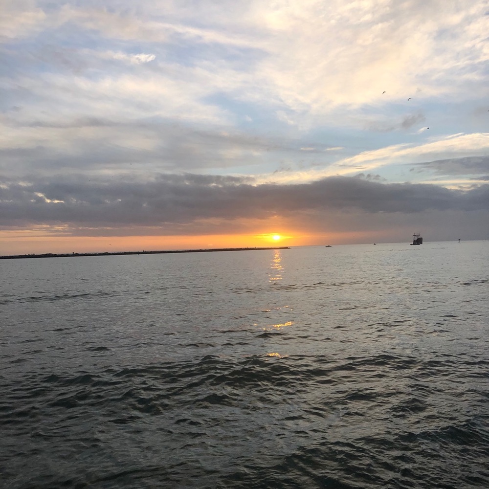 Meet your Posher, Claudia